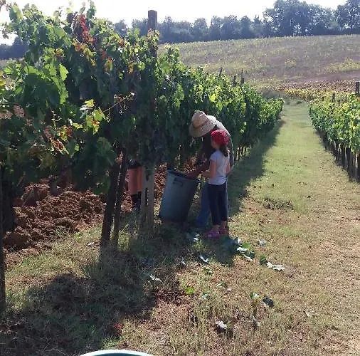 Casa Del Nonno Bingheri - Vencaglia *