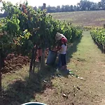 Casa Del Nonno Bingheri - Vencaglia *