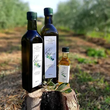 Farm stay Casa Del Nonno Bingheri - Vencaglia