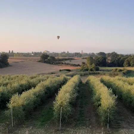 Farmház Casa Del Nonno Bingheri - Vencaglia *