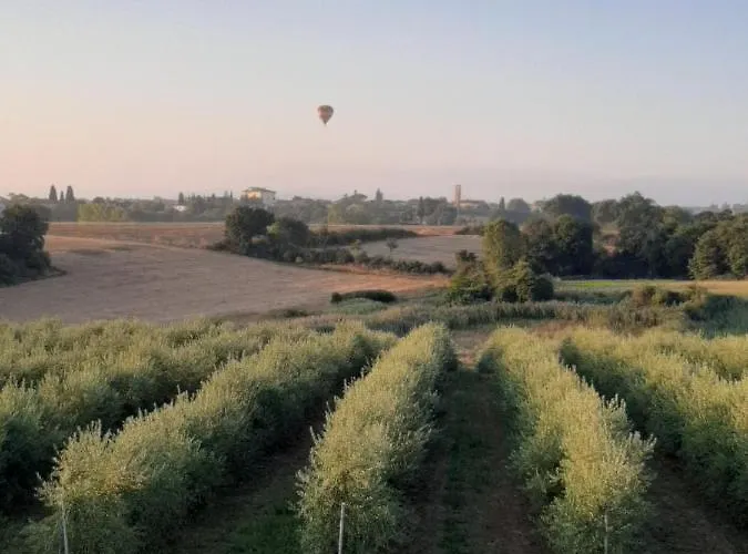 Farmház Casa Del Nonno Bingheri - Vencaglia *