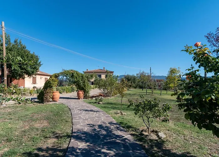 Κατάλυμα σε φάρμα Casa Del Nonno Bingheri - Vencaglia Κορτόνα