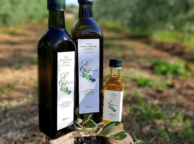 Alloggio per agriturismo Casa Del Nonno Bingheri - Vencaglia